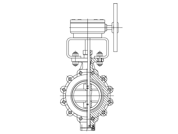 Features of Lug Butterfly Valve